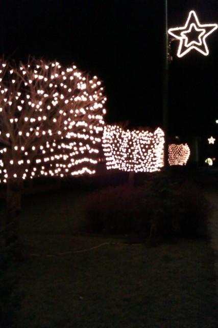 IMAG0574